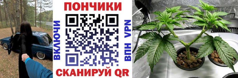 Какие есть наркотики Троицк Галлюциногенные грибы omg зеркало Марихуана COCAIN Меф