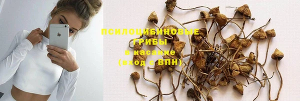 тгк Абдулино