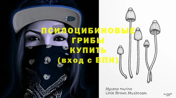 дурь Алексеевка