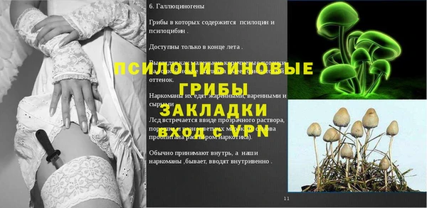 тгк Абинск